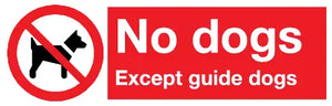 No Dogs Except guide dogs sign MJN Safety Signs Ltd