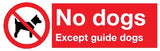 No Dogs Except guide dogs sign MJN Safety Signs Ltd